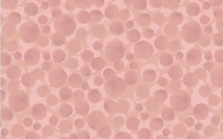 Lewis & Irene Bumbleberries Coral