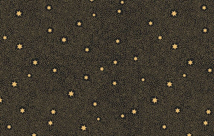 Make A Christmas Wish Fairy Dust On Black