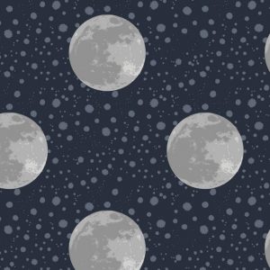 Lewis & Irene Fabrics To the Moon and Back Moon On Midnight