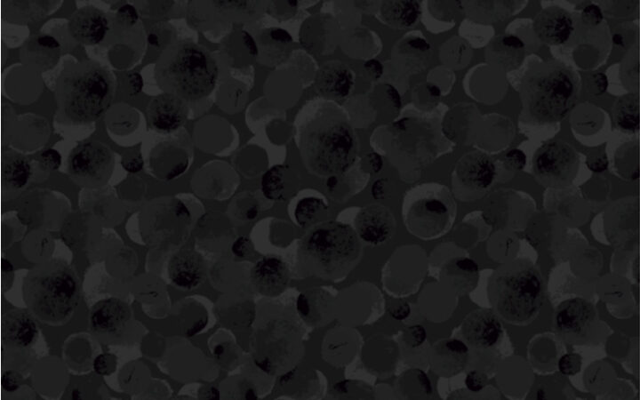 Lewis & Irene Bumbleberries Black