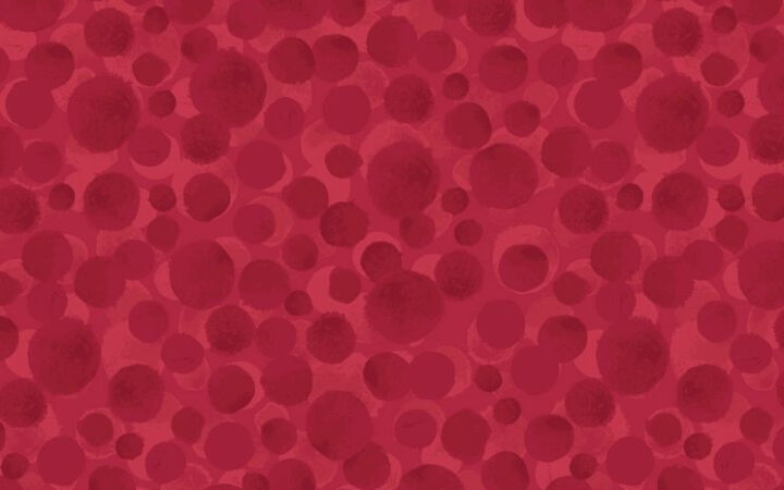 Lewis & Irene Bumbleberries Santa Red