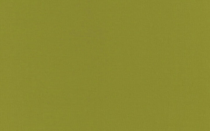 Moda Bella Solids Leaf Green