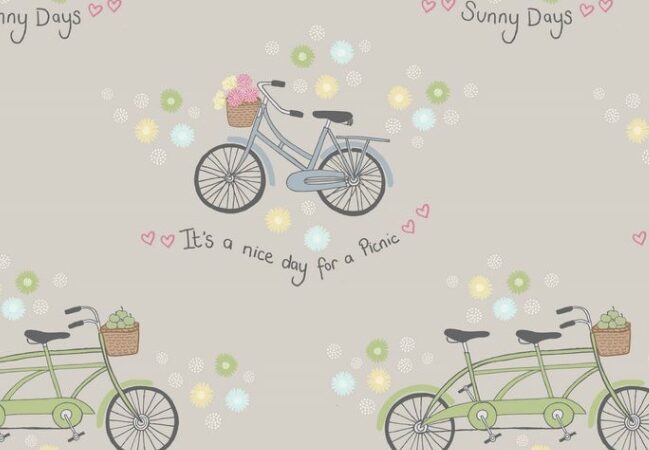 Lewis & Irene Picnic in the Park Grey Bicycles