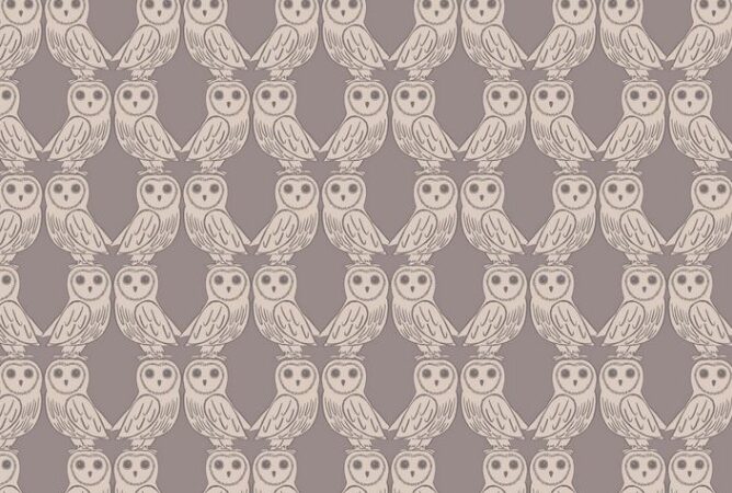 Lewis & Irene Enchanted Forest Owls on Latte