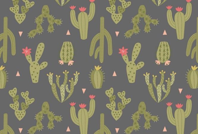 Lewis & Irene Paracas Cactus