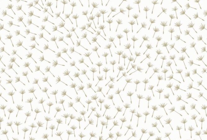 Lewis & Irene Make Another Wish Fairy Seeds on White