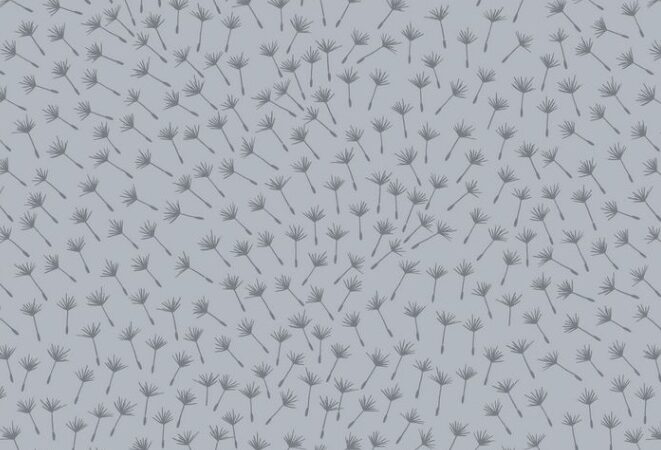 Lewis & Irene Make Another Wish Fairy Seeds on Grey