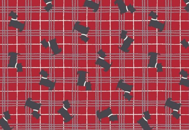 Lewis & Irene The Glen Scottie on Red