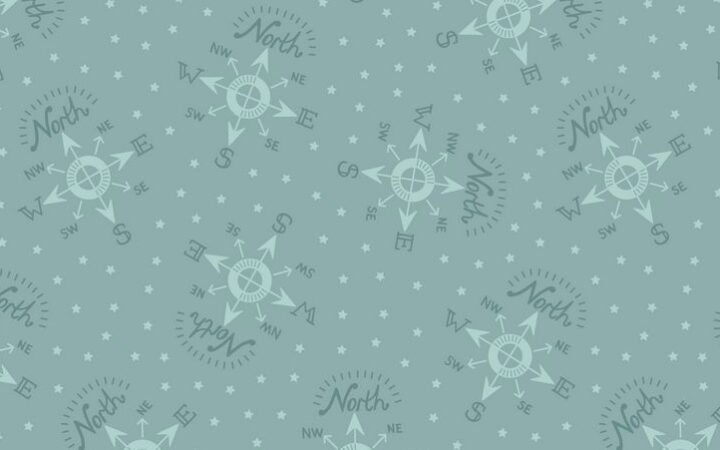 Lewis & Irene North Pole Compass on Icy Blue
