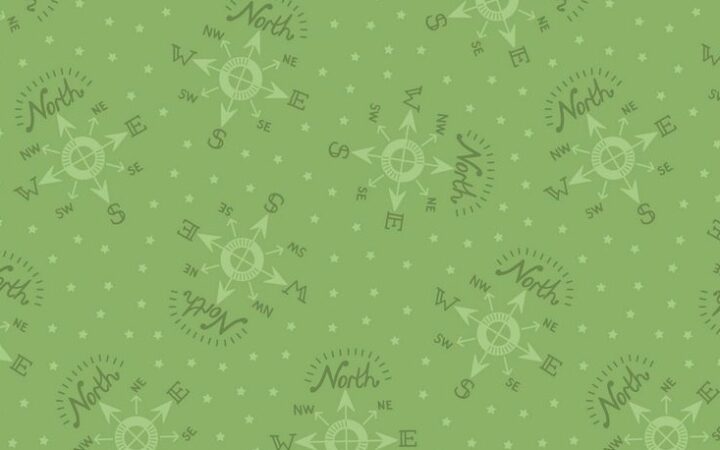 Lewis & Irene North Pole Compass on Elf Green