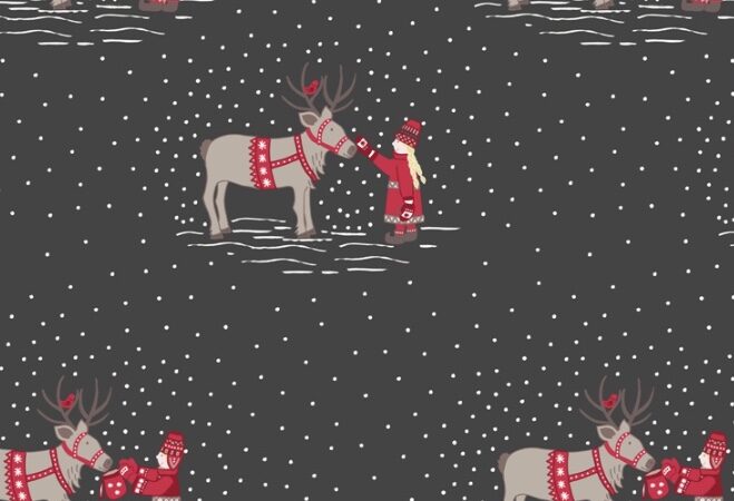Lewis & Irene When I Met Santa’s Reindeer Grey
