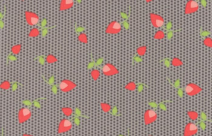 Moda Sundrops Rosebuds Dark Taupe & Red
