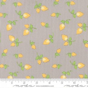 Moda Fabrics Sundrops Rosebuds Taupe & Yellow