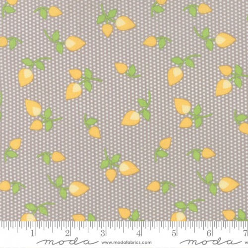 Moda Fabrics Sundrops Rosebuds Taupe & Yellow