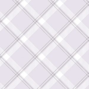 Benartex Fabrics Breezy Baby Silver Grey Plaid