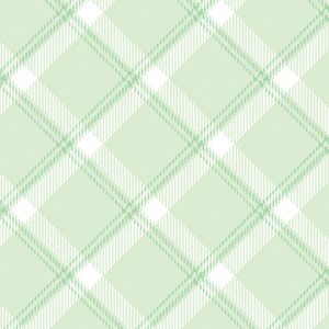 Benartex Fabrics Breezy Baby Mint Plaid