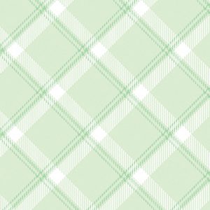 Benartex Fabrics Breezy Baby Mint Plaid