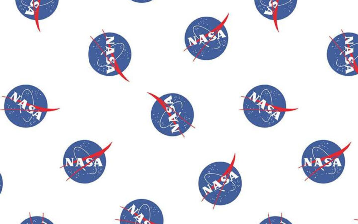 Riley Blake NASA Logo on White