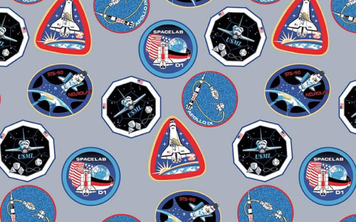 Riley Blake NASA Space Mission Patches on Grey