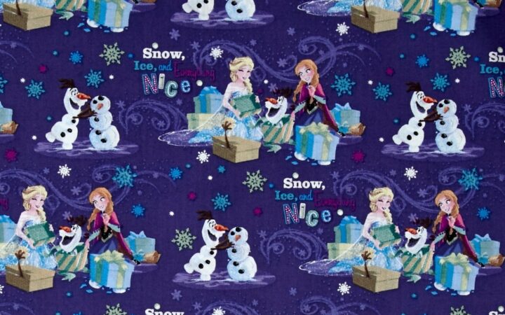 Disney Frozen Snow and Ice