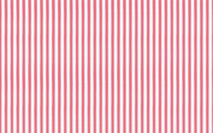 Riley Blake Kindred Spirits Ticking Stripe