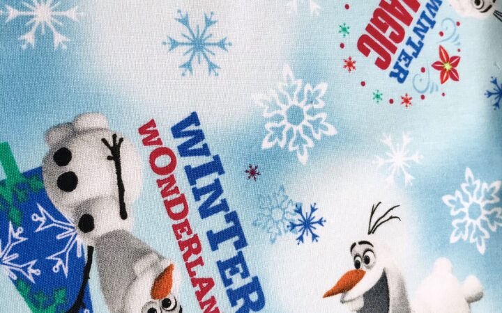 Disney’s Frozen Olaf’s Winter Wonderland