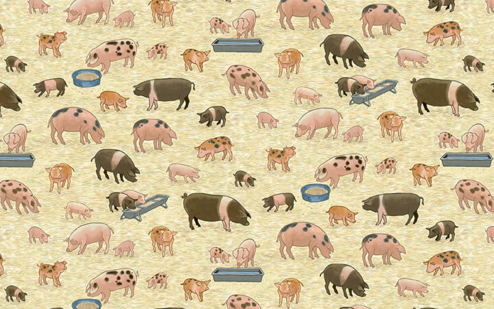 Makower Fabrics Village Life Pigs