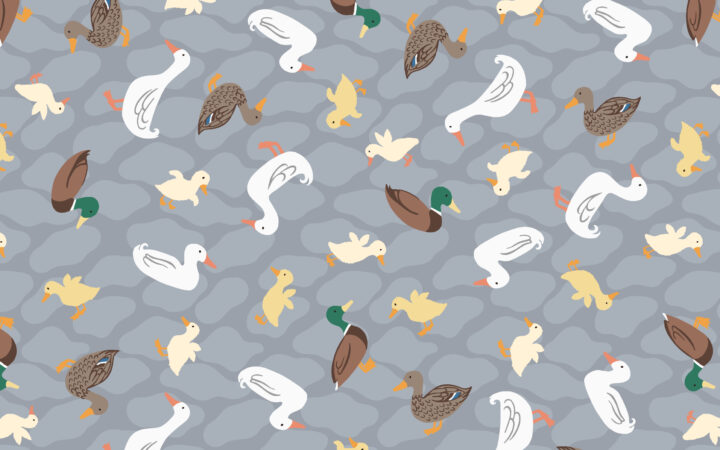 Lewis & Irene The Village Pond Ducks on Grey