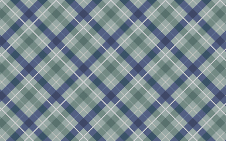 Lewis & Irene Iona Blue Check