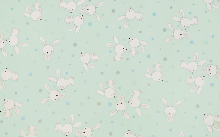 Shannon Fabrics Cottontail Digital Cuddle in Mint Green