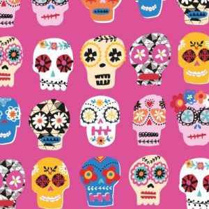 Dashwood Fiesta Colourful Skulls on Bright Pink