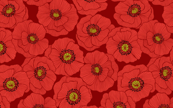 Lewis & Irene Poppies Large Poppies on Red