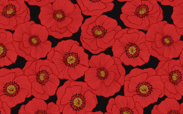 Lewis & Irene Poppies Large Poppies on Black