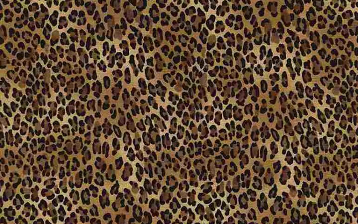 Timeless Treasures Small Leopard Print