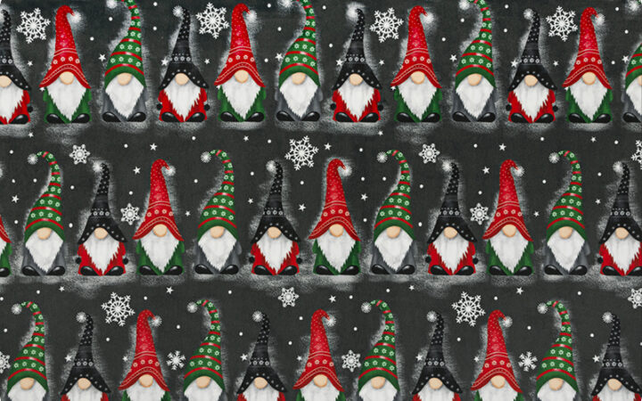 Shannon Fabrics Gnomes Digital Cuddle