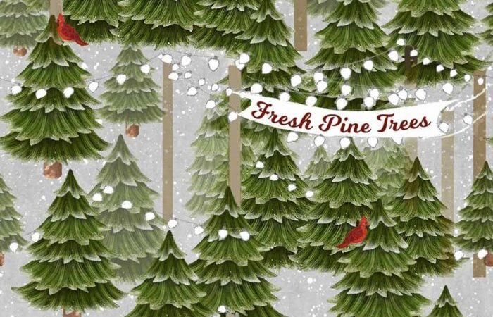 3 Wishes Home for the Holidays Tree Lot