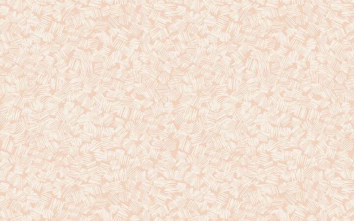 Riley Blake Goldilocks Coral Hatch