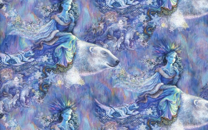 3 Wishes Polar Journey Flight