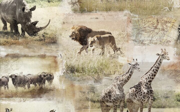 3 Wishes Global Luxe Animals