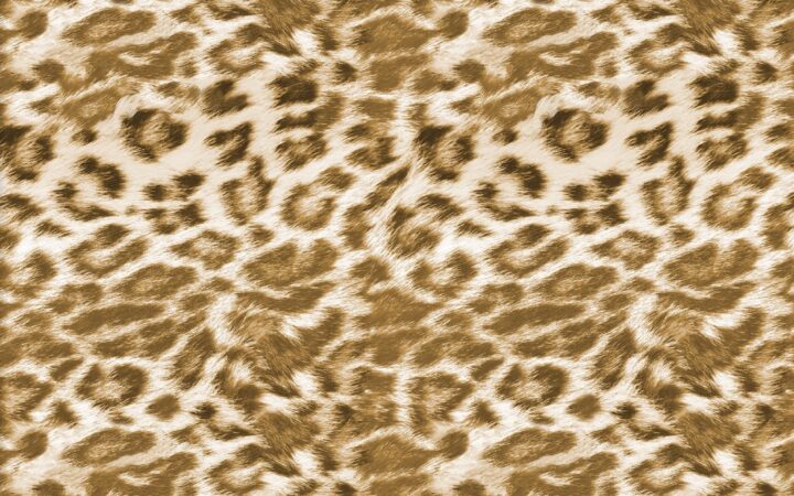 3 Wishes Global Luxe Leopard