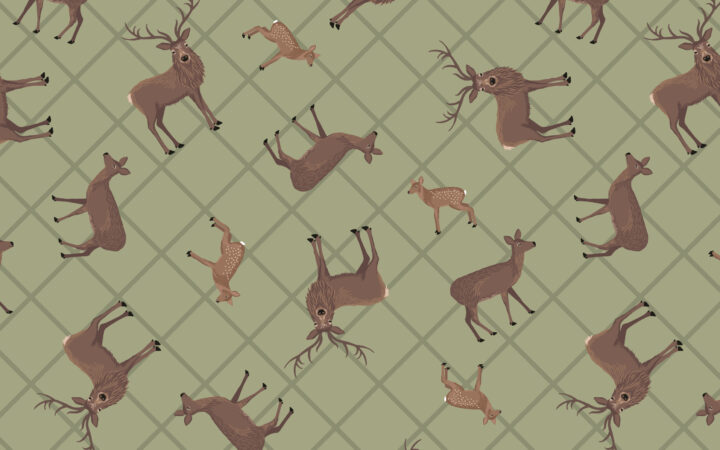 Lewis & Irene Loch Lewis Sage Deer