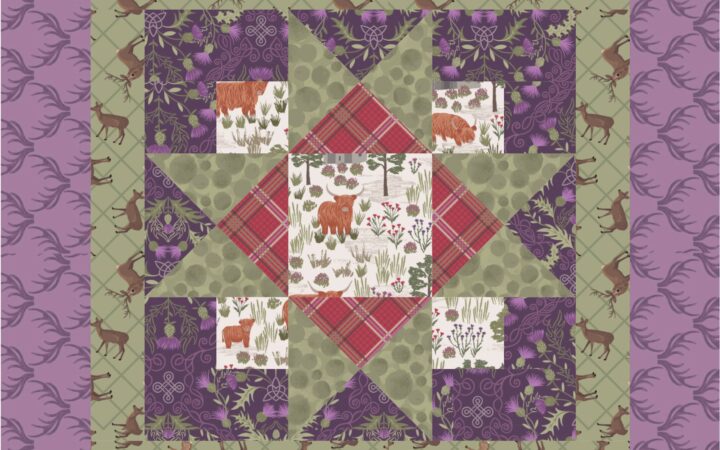 Lewis & Irene Loch Lewis Free Cushion Pattern