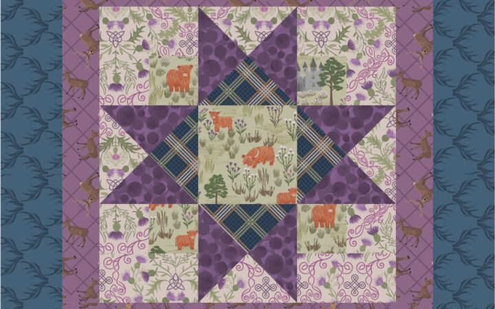 Lewis & Irene Loch Lewis Free Cushion Pattern