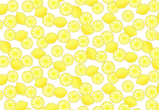 Studio E Fabrics Flamingo Beach Lemon Slices