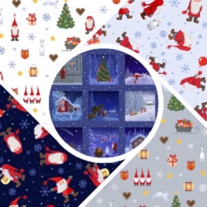 Tomten's Christmas by Lewis & Irene