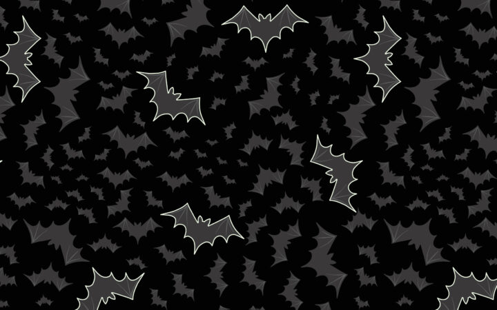 Lewis & Irene Castle Spooky Bats Black