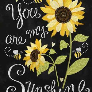 Timeless Treasures Fabrics You Are My Sunshine Panel