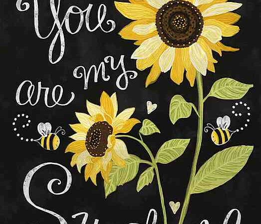 Timeless Treasures You Are My Sunshine Panel