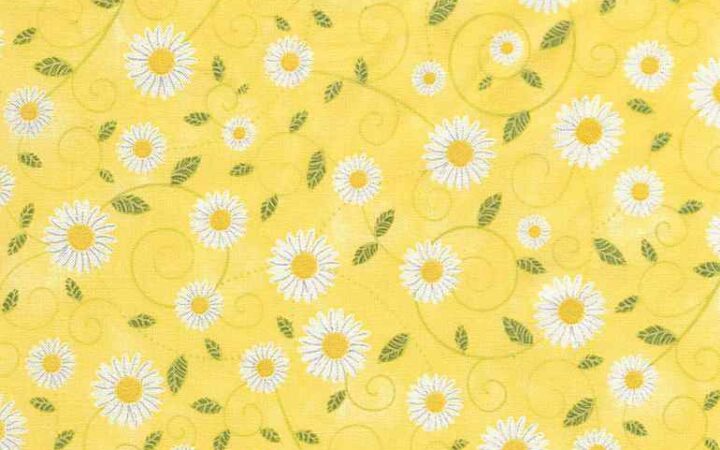 Timeless Treasures You Are My Sunshine Yellow Daisy