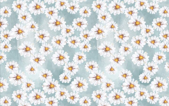 3 Wishes Happy Harvest Daisies